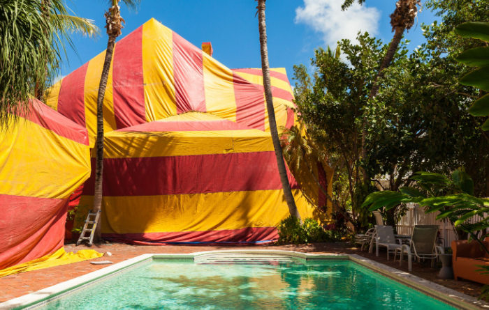 What is the fastest way to get rid of termites?