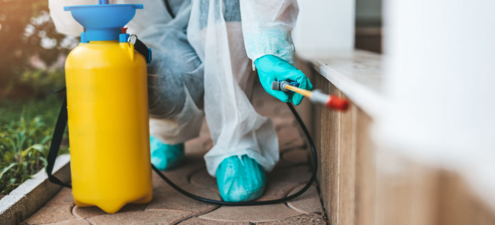 What's the average cost of a termite inspection?