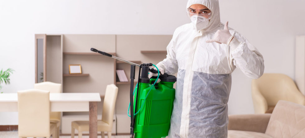 When should I call an exterminator for termites?