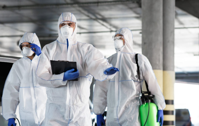 Who is the best termite control company?