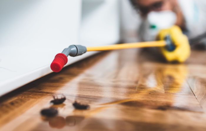 Can pest control get rid of roaches?