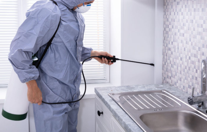 Do roaches come up through drains?