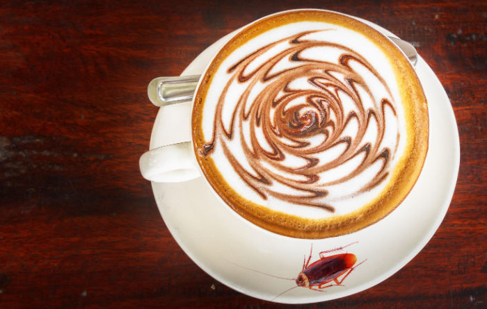 Does coffee kill roaches?