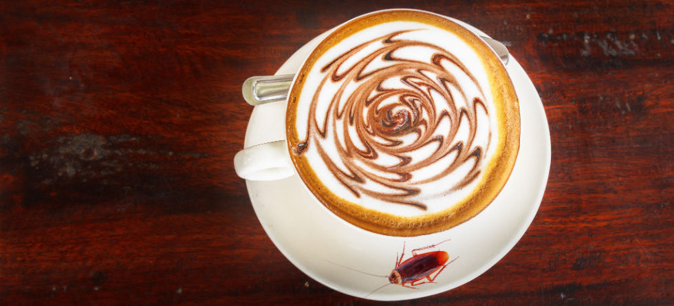 Does coffee kill roaches?