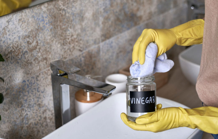 Does vinegar kill roaches?