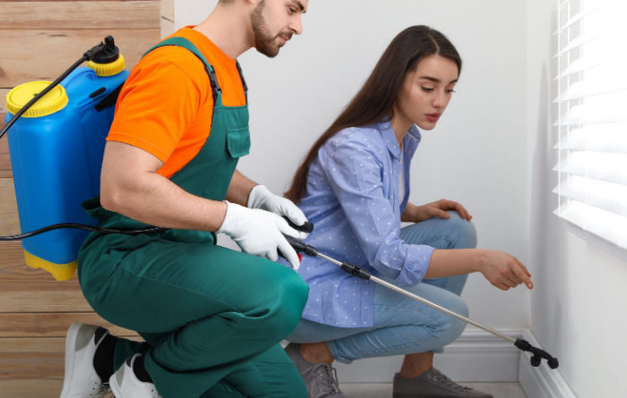 How do I get rid of roaches fast?