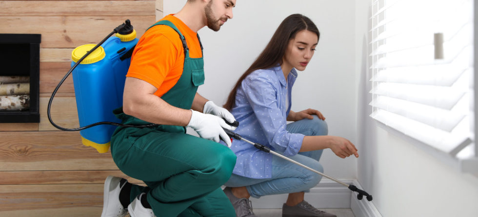 How do I get rid of roaches fast?