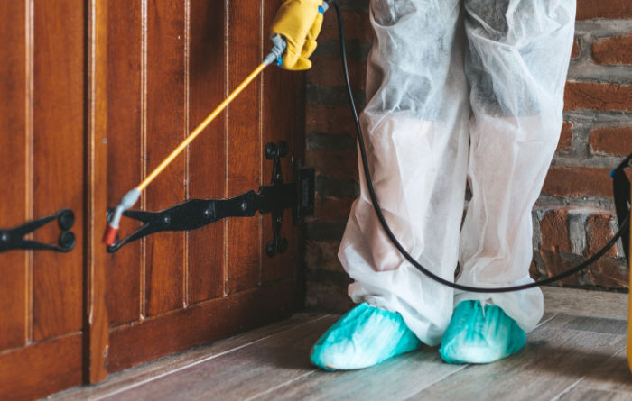 How do I permanently get rid of roaches in my house?