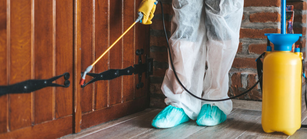 How do I permanently get rid of roaches in my house?