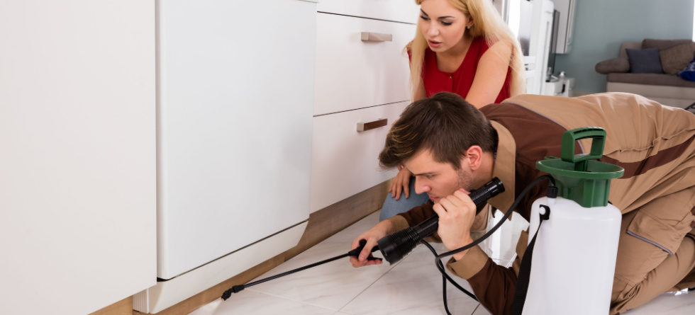 How do you get rid of roaches once and for all?