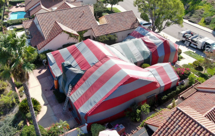 How do you get rid of roaches overnight?