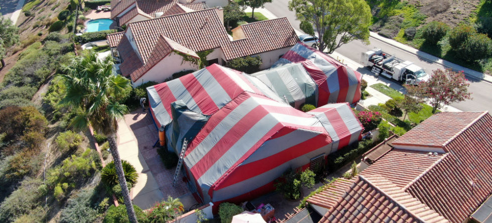 How do you get rid of roaches overnight?