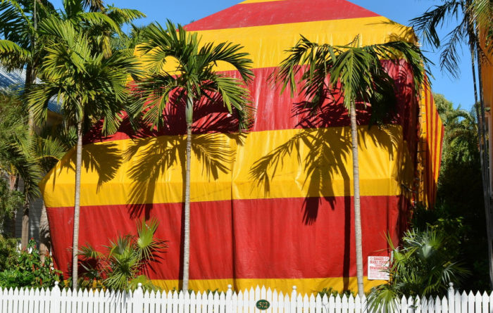 How often should you fumigate your house for roaches?