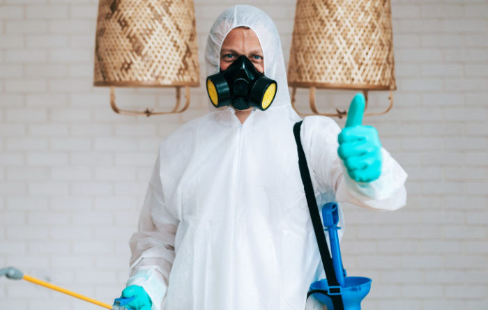 What do cockroaches hate the most?