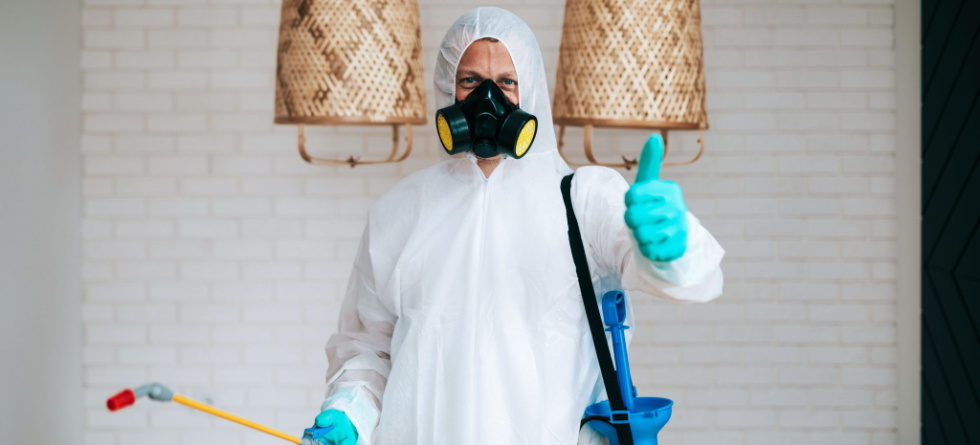 What do cockroaches hate the most?