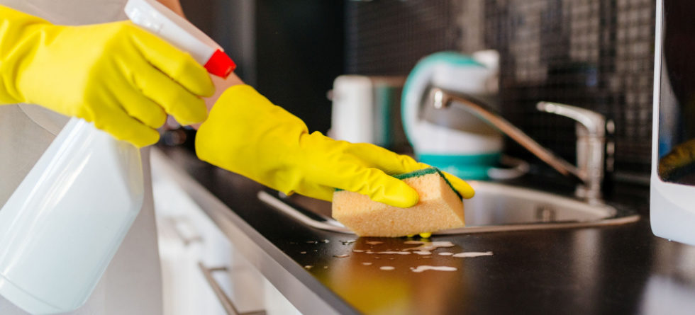 What do roaches hate?