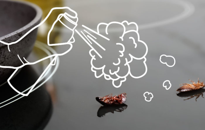 What is the best home remedy to get rid of roaches?