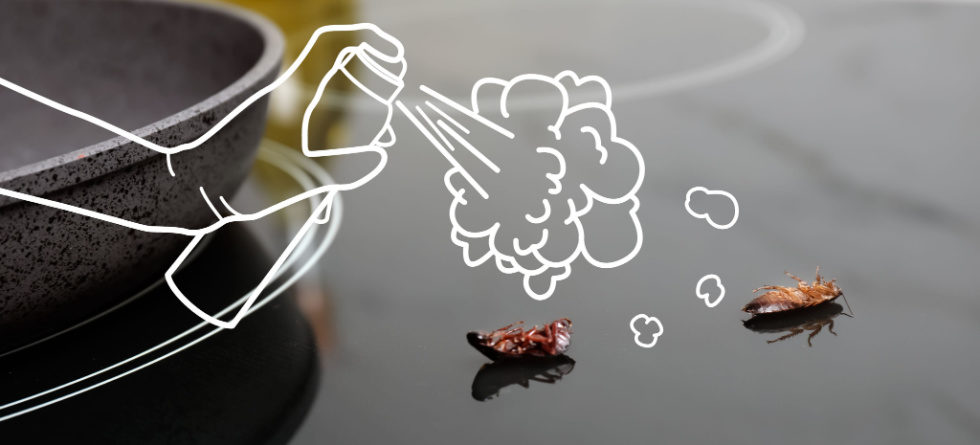 What is the best home remedy to get rid of roaches?