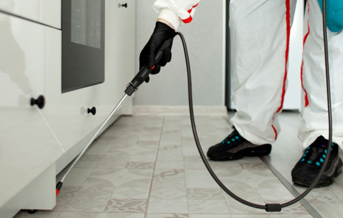 What smell do roaches hate the most?