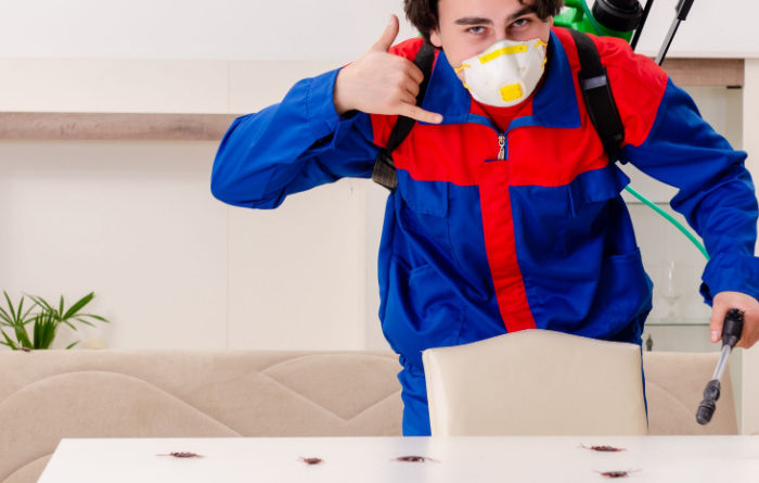 When should I call an exterminator for roaches?