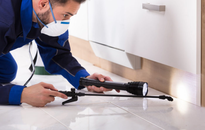 Where do exterminators spray for roaches?