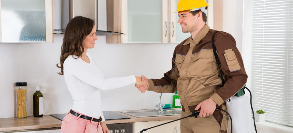 Is Hiring An Exterminator Worth It?