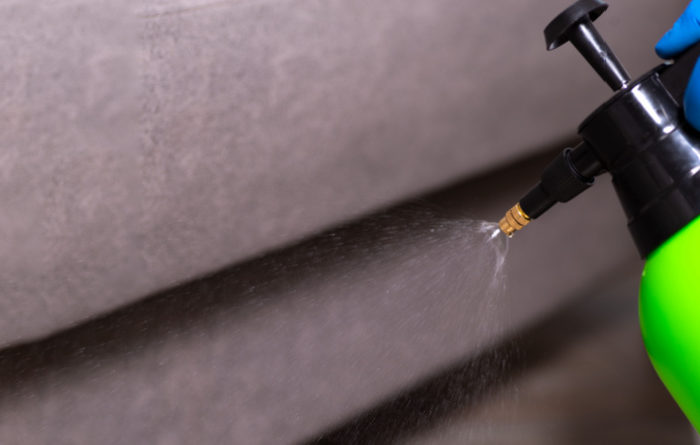 How Long Does Exterminator Spray Last?