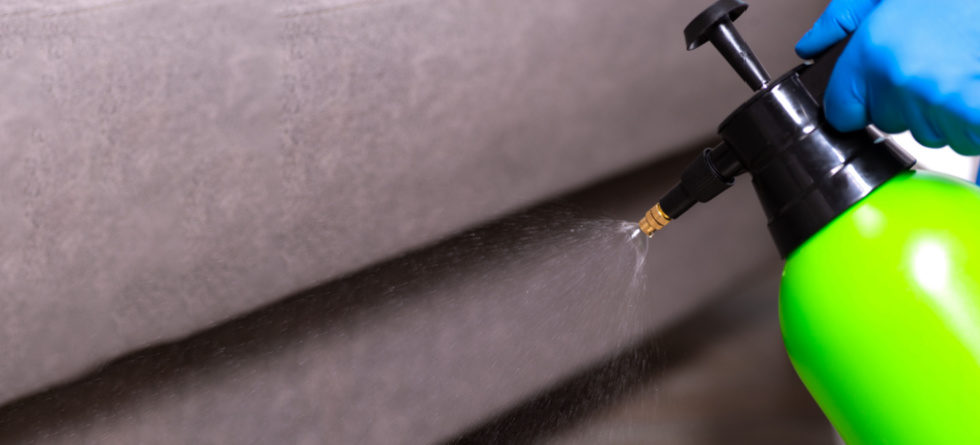 How Long Does Exterminator Spray Last?