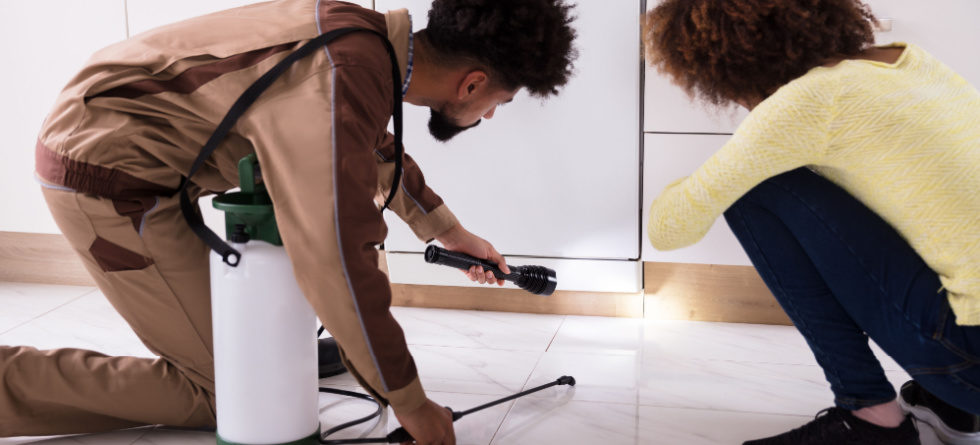 Should An Exterminator Spray Inside The House?