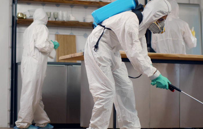 What Is The Difference Between Pest Control And Exterminator?